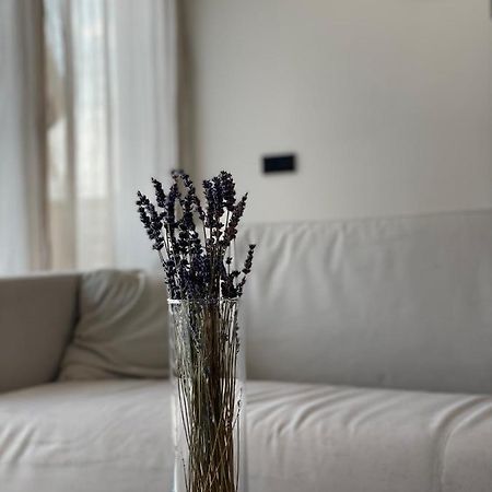 Roemer Apartment Und Zimmer 튀르크하임 외부 사진