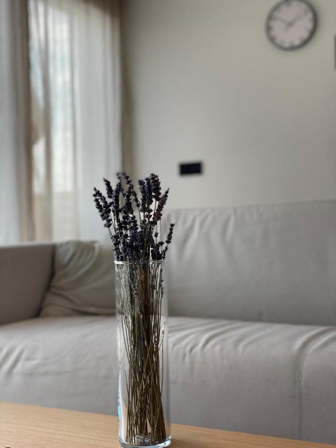 Roemer Apartment Und Zimmer 튀르크하임 외부 사진
